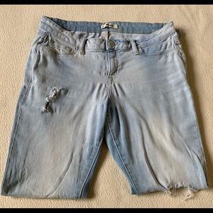 Charlotte Russe Jeans (Refuge)